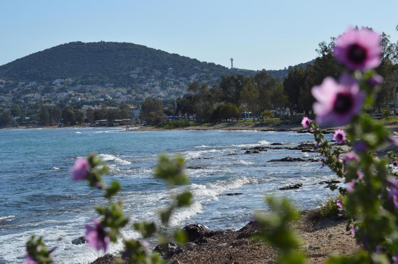 Marouka Διαμέρισμα Αρτέμιδα Εξωτερικό φωτογραφία