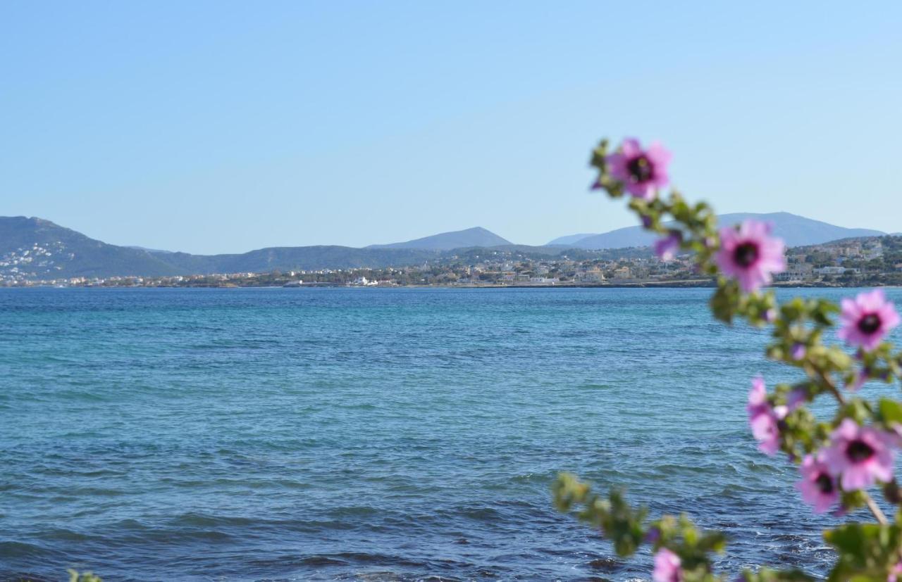 Marouka Διαμέρισμα Αρτέμιδα Εξωτερικό φωτογραφία