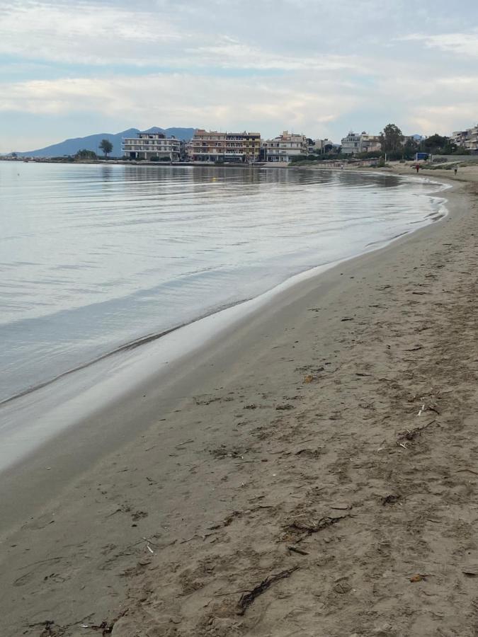 Marouka Διαμέρισμα Αρτέμιδα Εξωτερικό φωτογραφία